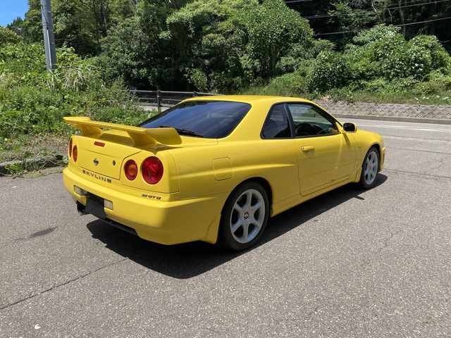 20465677