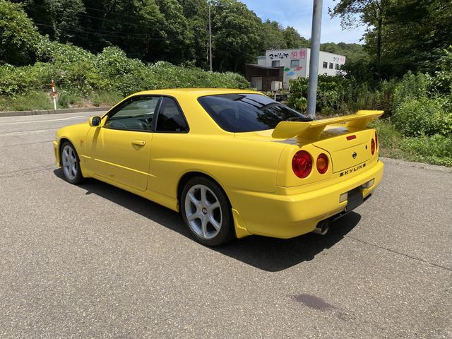 20465677