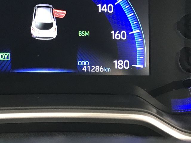 20550261