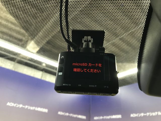 20550261