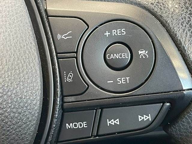 20560293