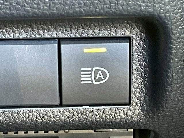 20560293