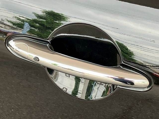 20560368
