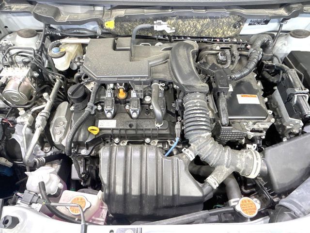 20560381