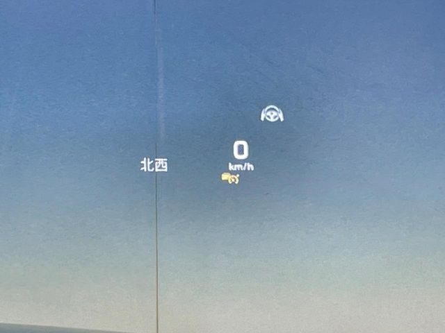20560846