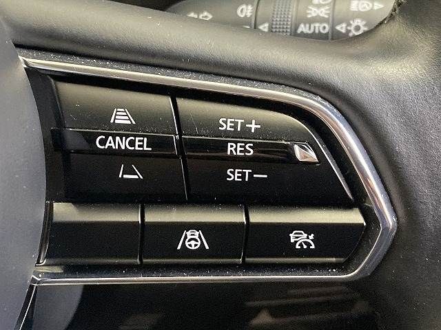 20562558