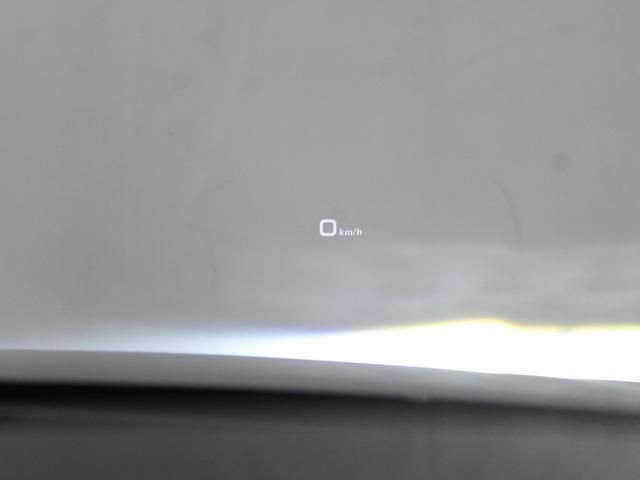 20562915
