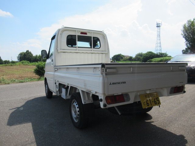 20565391