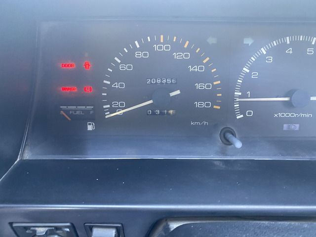 20565409