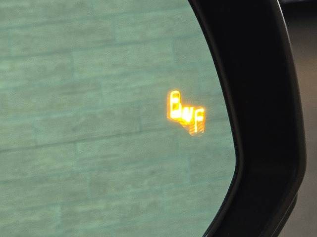 20662899
