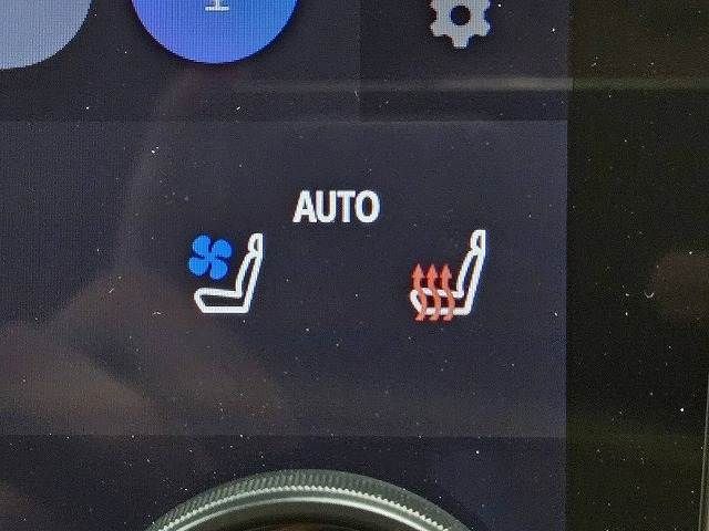 20662899