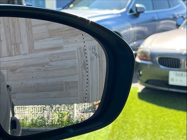 20662934