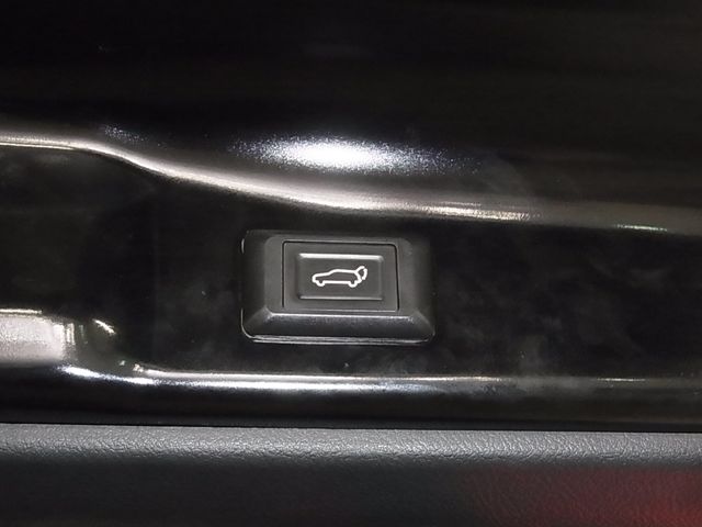 20665910
