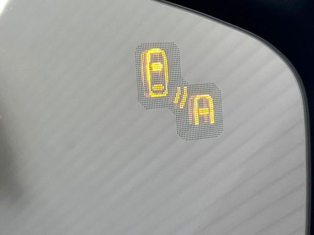 20766242