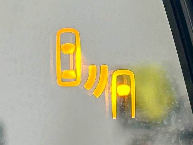 20862807