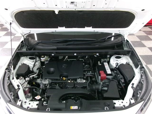 20865951