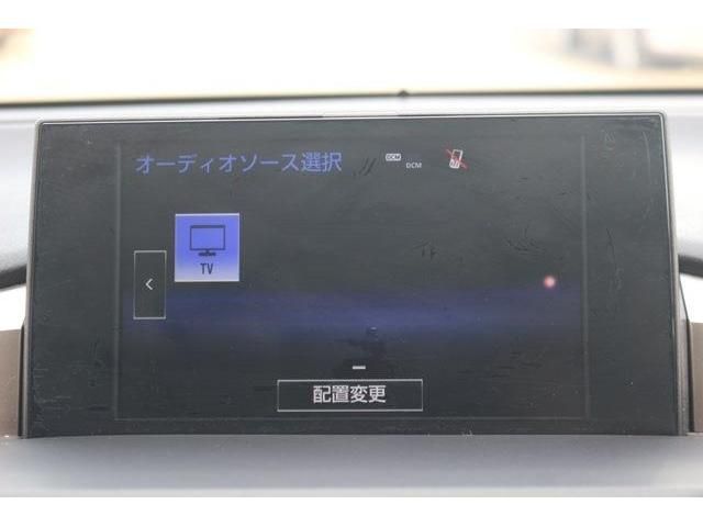 20866117