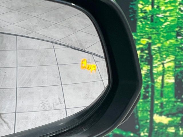 20866362