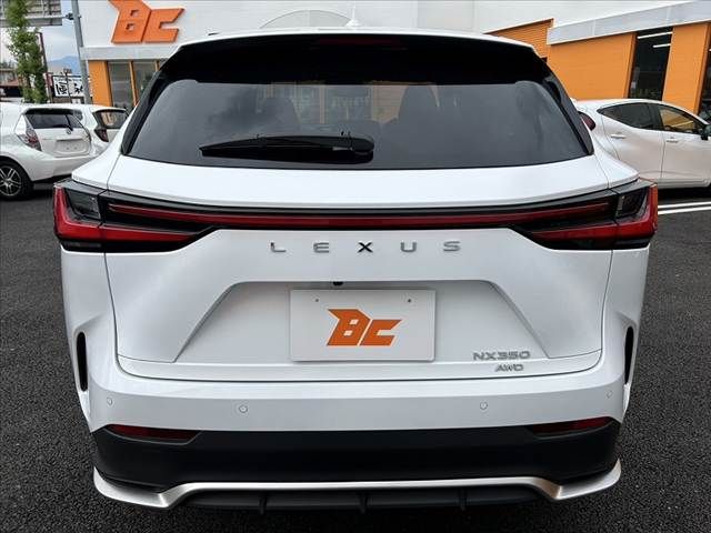 20966420
