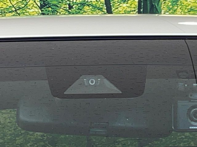 21160381