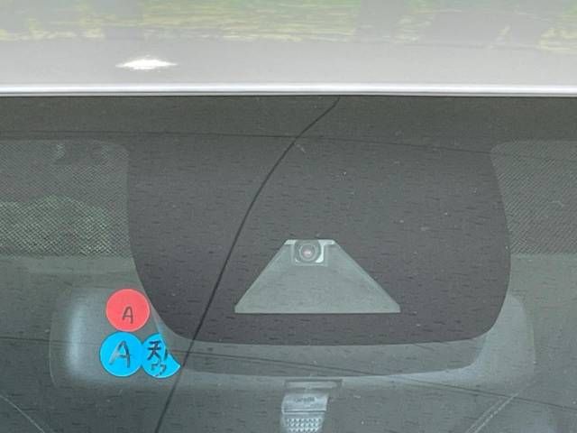 21161237