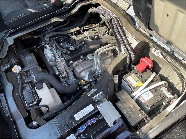21161704