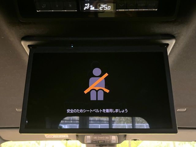 21162261