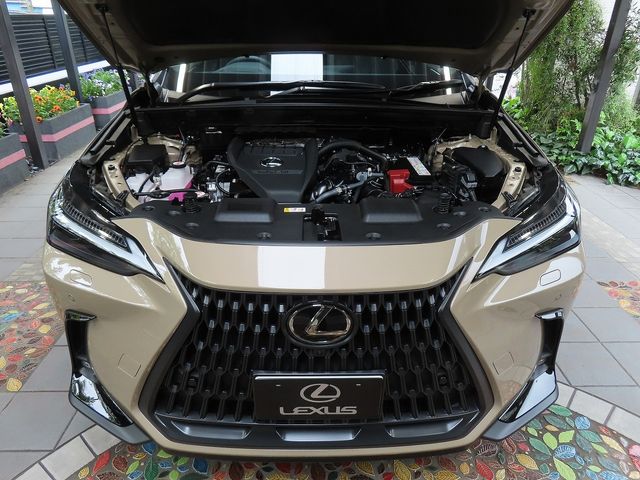 21260313