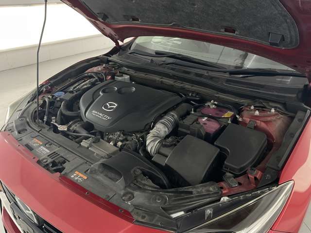 21266042