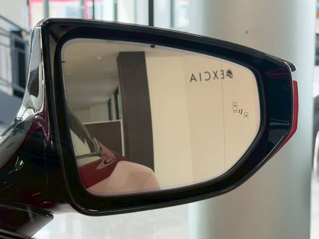 21266306