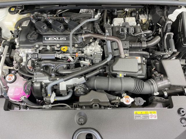21266900