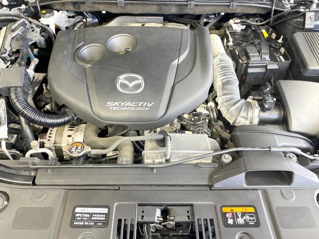 21360868