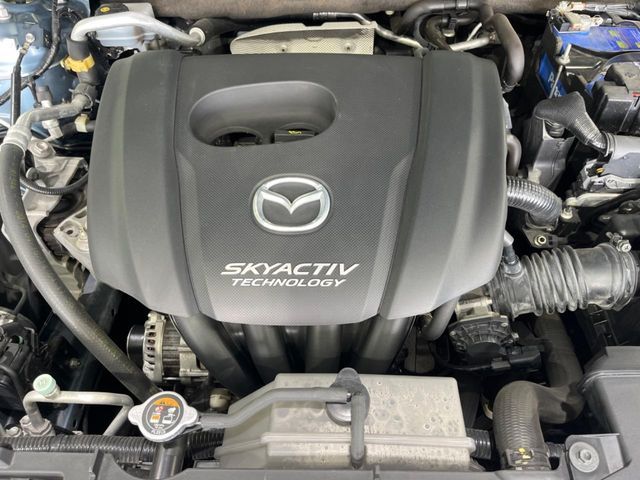 21361263