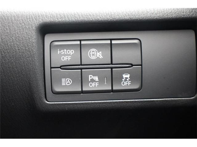 21366364