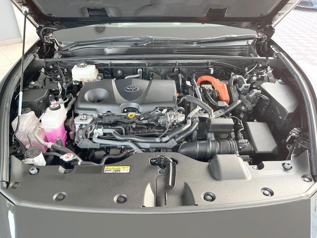 21460412