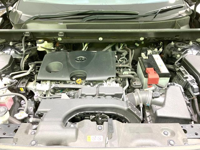 21460906