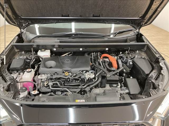 21462794