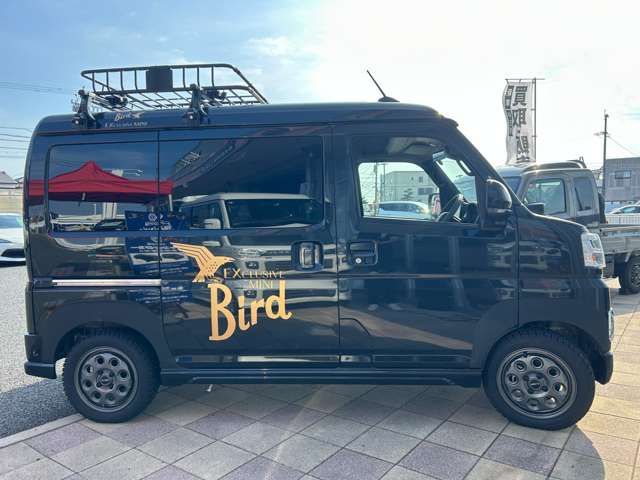 21560246