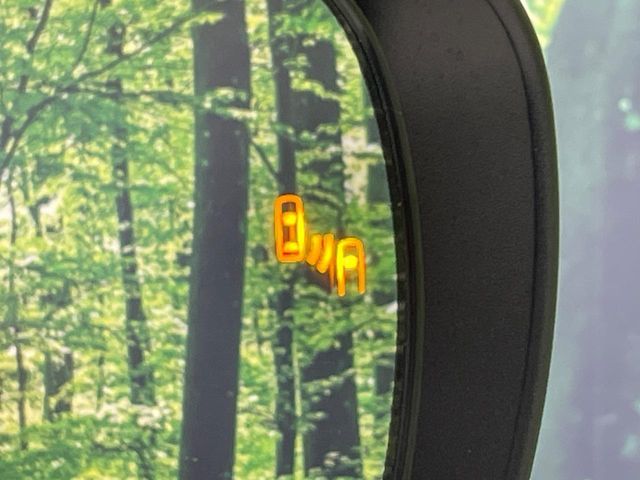 21560424