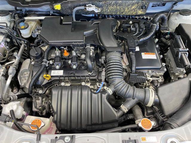 21560424