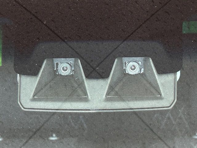 21561833