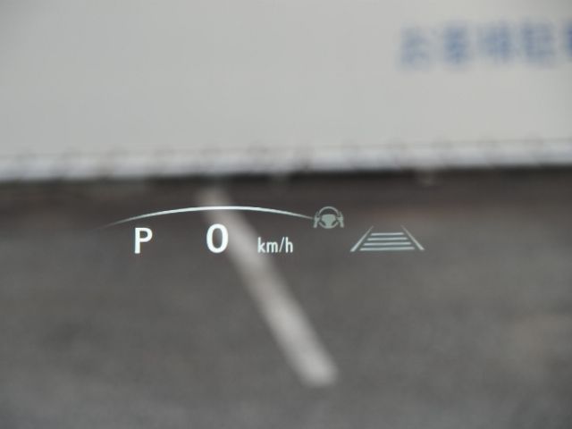 21650323
