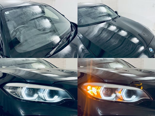 21650400