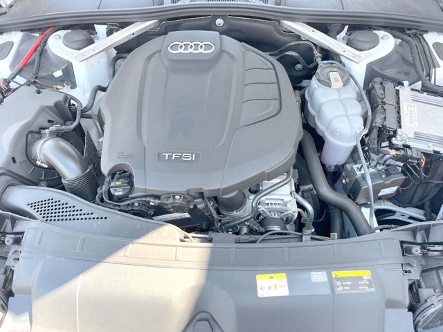 21660243
