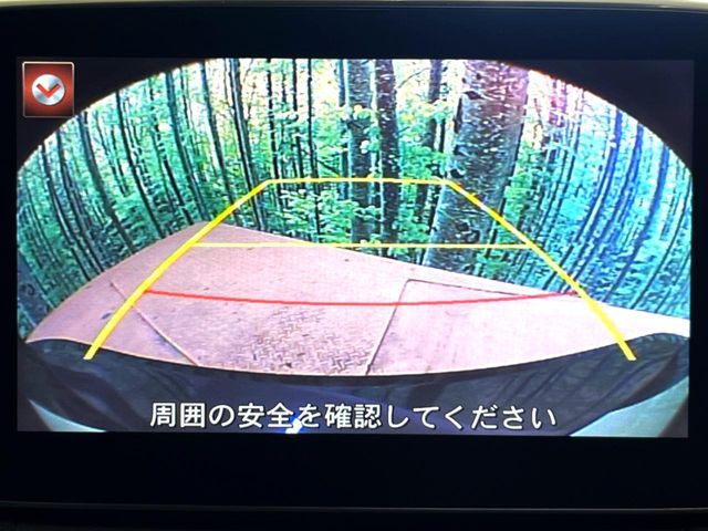 21660655