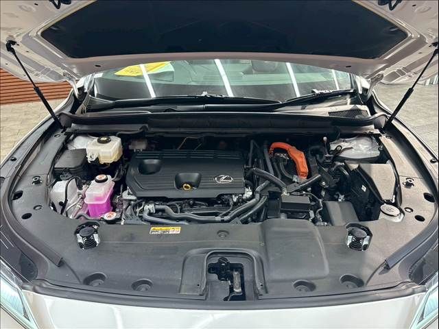 21661440