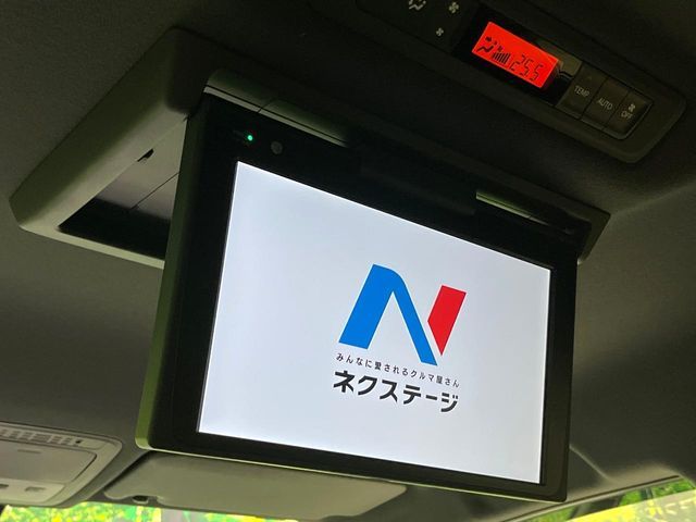 21662231