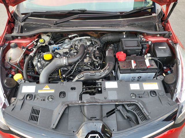 21665733