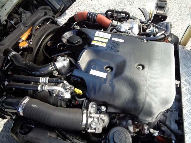 21666219