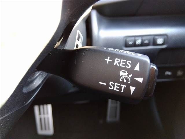 21750156